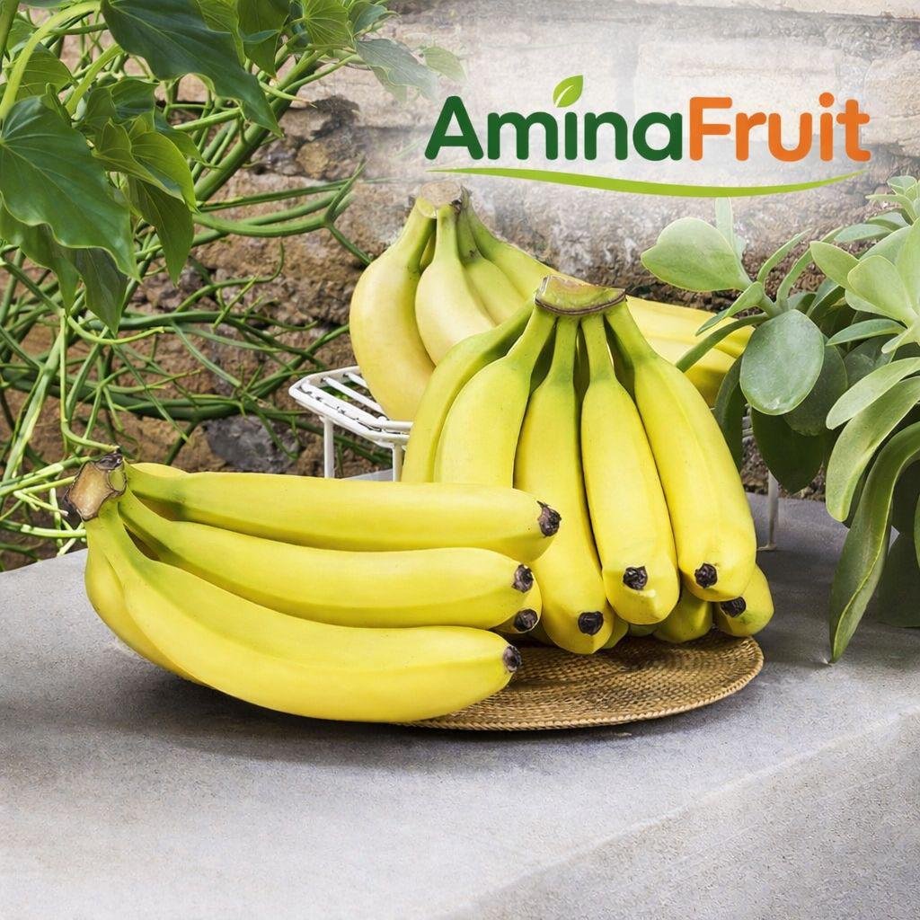 الموز الإكوادوري